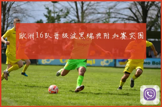 欧洲16队晋级波黑瑞典附加赛突围